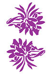 stickers fleurs