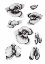 Stickers fleurs orchid�e