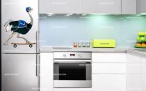 Stickers frigo autruche