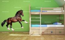 Stickers g�ant cheval