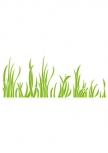 Stickers herbes. Visuel herbe d�coup� dans un adh�sif de couleur unie. Cette planche herbe existe en plusieurs couleurs. Vous pouvez �galement choisir la taille de votre sticker herbe pour commencer en douceur une d�coration murale, cet autocollant herbe sera id�al pour habiller le bas de vos murs.