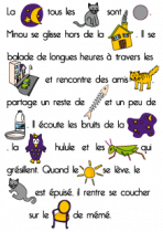 Stickers histoire du chat gris