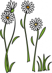 stickers muraux marguerites imprim�es sur adh�sif blanc avec d�coupe �  la forme.