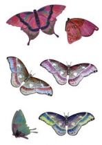 stickers aquarelle papillon