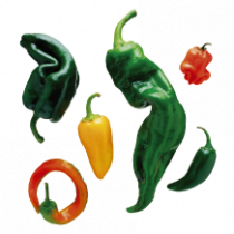 Stickers muraux Piments