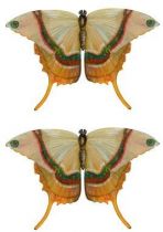 stickers papillon marron