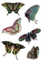 Stickers papillons.