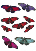 Stickers planche de neuf papillons.