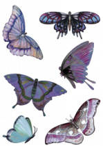 Stickers planche papillons.