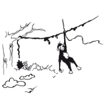 Le stickers safari singe pour d�corer une chambre d\'enfant