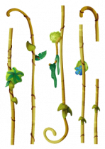 Stickers trois lianes � assembler.