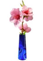 Stickers fleurs de p�cher. Le p�cher est un arbre fruitier qui produit des fleurs roses avant les feuilles � la fin de l\'hiver ou d�but du printemps. Ses fleurs roses sont d\'un rose p�le et d�coreront avec l�g�ret� vos murs du salon ou m�me de votre salle de bain. Sticker imprim� sur vinyle adh�sif et d�coup� � la forme. Cr�ation Sylvie Zieba