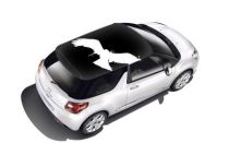 stickers voiture oiseau