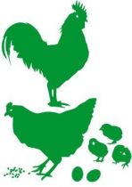 Toute la famille volaille est l�, le coq, la poule, les poussins et les grains. Ces stickers volaille permettront de cr�er un d�cor sur la basse cour