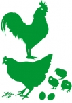 Toute la famille volaille est l�, le coq, la poule, les poussins et les grains. Ces stickers volaille permettront de cr�er un d�cor sur la basse cour