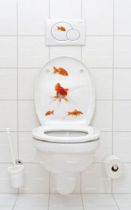 Stickers WC : Poissons rouges.