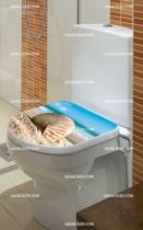 Stickers wc coquillage