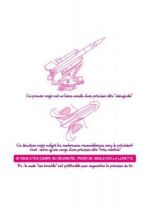 Stickers WC missile partie deux.