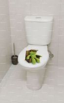 stickers rois aux toilettes