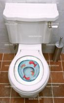 Stickes wc poissons