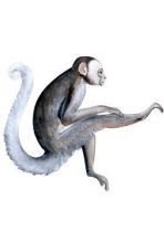 stickers singe aquarelle